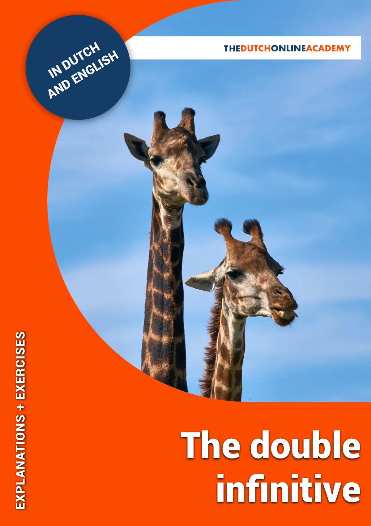 De dubbele infinitief Cover